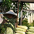 Vietnam_avril_2007_420