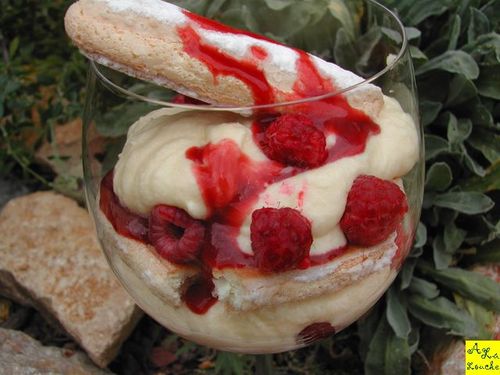 Tiramisu_framboise_019