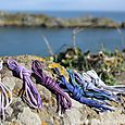 Pointe du grouin lacets de couleur homme (2)