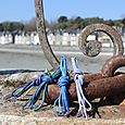 Cancale lacets de couleur (2)