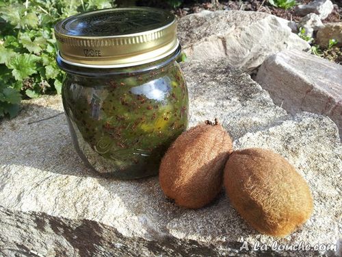 Recette_confiture_kiwi (9) (Copier)