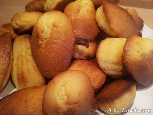 Recette_madeleines (13) (Copier)