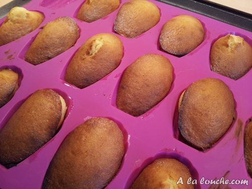 Recette_madeleines (6) (Copier)