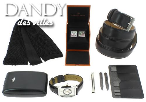 DANDY-DES-VILLES copie