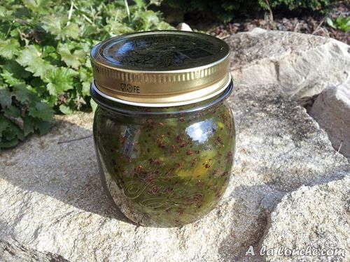 Recette_confiture_kiwi (8) (Copier)