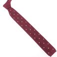 27030-0002-cravate-tricot-pois-tony-et-paul